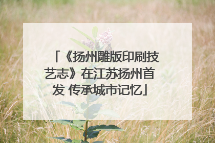 《扬州雕版印刷技艺志》在江苏扬州首发 传承城市记忆