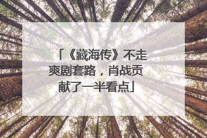 《藏海传》不走爽剧套路，肖战贡献了一半看点