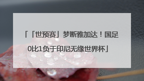 「世预赛」梦断雅加达！国足0比1负于印尼无缘世界杯