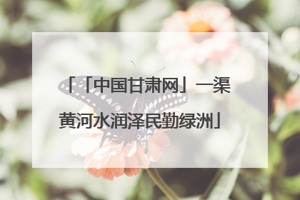 「中国甘肃网」一渠黄河水润泽民勤绿洲