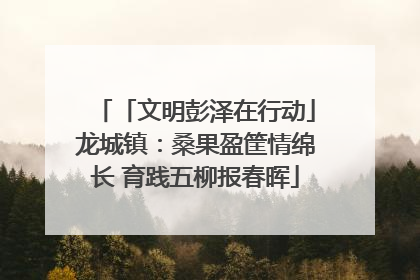 「文明彭泽在行动」龙城镇：桑果盈筐情绵长 育践五柳报春晖