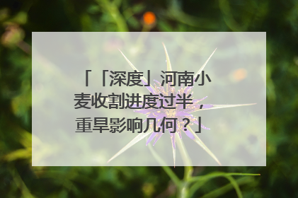 「深度」河南小麦收割进度过半，重旱影响几何？