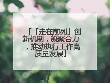 「走在前列」创新机制，凝聚合力，推动执行工作高质量发展