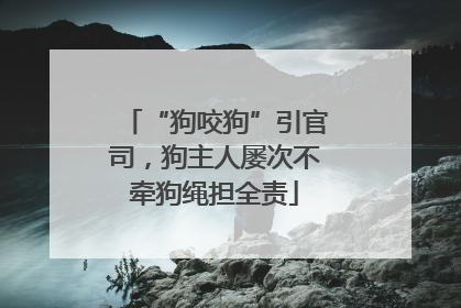 “狗咬狗”引官司，狗主人屡次不牵狗绳担全责