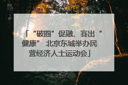 “破圈”促融、赛出“健康” 北京东城举办民营经济人士运动会