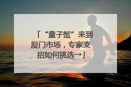 “童子蟹”来到厦门市场，专家支招如何挑选→