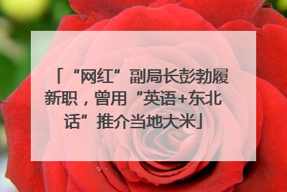 “网红”副局长彭勃履新职，曾用“英语+东北话”推介当地大米