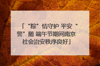 “粽”情守护 平安“警”随 端午节期间南京社会治安秩序良好