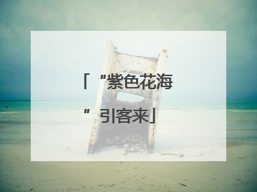 “紫色花海”引客来