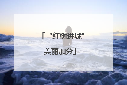 “红树进城” 美丽加分