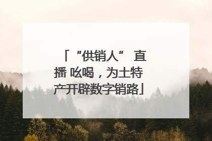 “供销人” 直播 吆喝，为土特产开辟数字销路