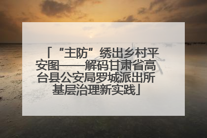 “主防”绣出乡村平安图——解码甘肃省高台县公安局罗城派出所基层治理新实践