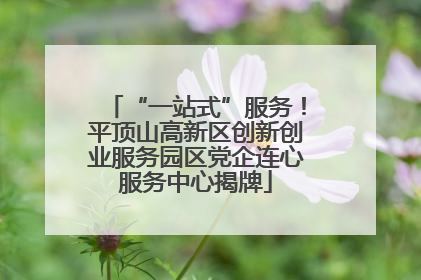 “一站式”服务！平顶山高新区创新创业服务园区党企连心服务中心揭牌