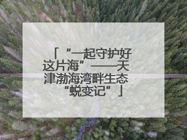 “一起守护好这片海”——天津渤海湾畔生态“蜕变记”