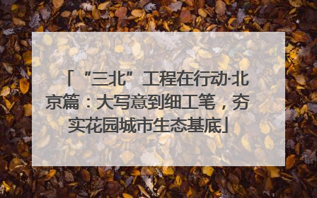 “三北”工程在行动·北京篇：大写意到细工笔，夯实花园城市生态基底