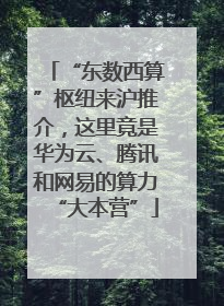 “东数西算”枢纽来沪推介，这里竟是华为云、腾讯和网易的算力“大本营”