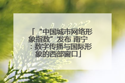 “中国城市网络形象指数”发布 南宁：数字传播与国际形象的西部窗口