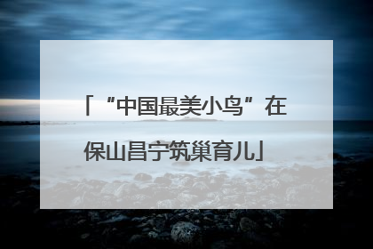 “中国最美小鸟”在保山昌宁筑巢育儿