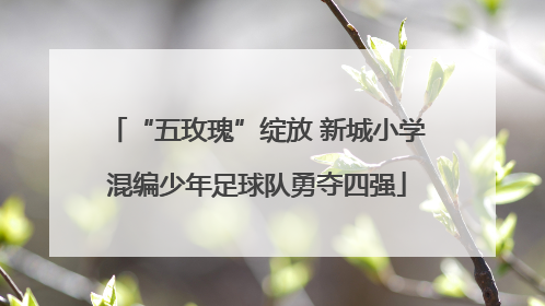 “五玫瑰”绽放 新城小学混编少年足球队勇夺四强