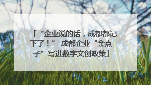 “企业说的话，成都都记下了！” 成都企业“金点子”写进数字文创政策