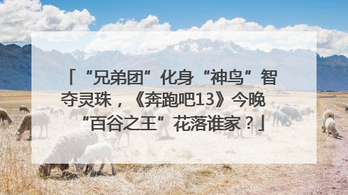 “兄弟团”化身“神鸟”智夺灵珠，《奔跑吧13》今晚“百谷之王”花落谁家？