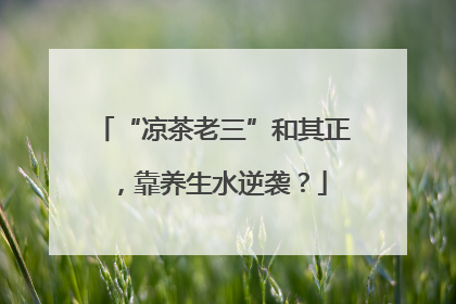 “凉茶老三”和其正，靠养生水逆袭？
