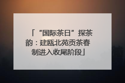 “国际茶日”探茶韵：建瓯北苑贡茶春制进入收尾阶段