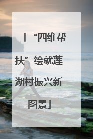 “四维帮扶”绘就莲湖村振兴新图景