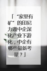 “家里有矿”的印尼力邀中企深化产业下游化，中企有哪些最新考量？