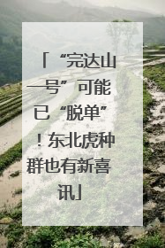 “完达山一号”可能已“脱单”！东北虎种群也有新喜讯