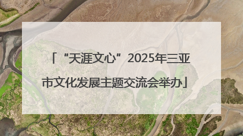 “天涯文心”2025年三亚市文化发展主题交流会举办