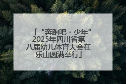 “奔跑吧・少年”2025年四川省第八届幼儿体育大会在乐山圆满举行
