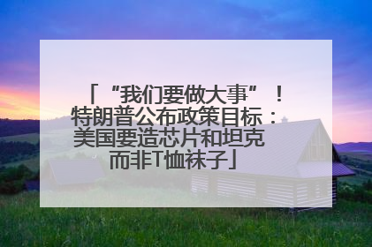 “我们要做大事”！特朗普公布政策目标：美国要造芯片和坦克 而非T恤袜子