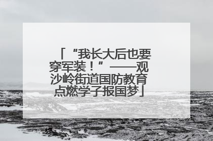 “我长大后也要穿军装！”——观沙岭街道国防教育点燃学子报国梦