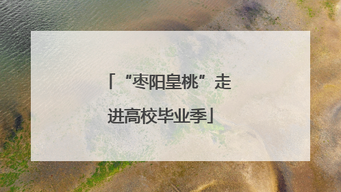 “枣阳皇桃”走进高校毕业季