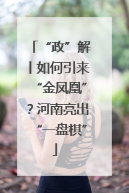 “政”解丨如何引来“金凤凰”？河南亮出“一盘棋”