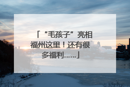 “毛孩子”亮相福州这里！还有很多福利……