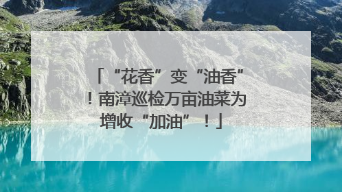 “花香”变“油香”！南漳巡检万亩油菜为增收“加油”！