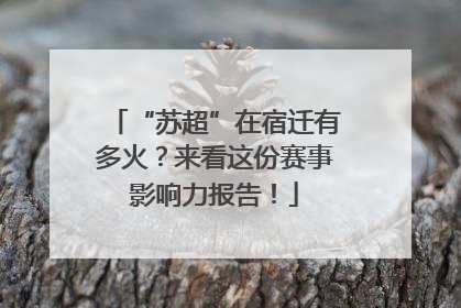 “苏超”在宿迁有多火？来看这份赛事影响力报告！