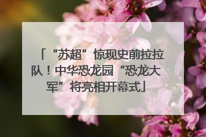 “苏超”惊现史前拉拉队！中华恐龙园“恐龙大军”将亮相开幕式