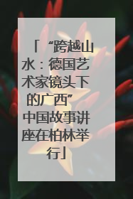 “跨越山水：德国艺术家镜头下的广西” 中国故事讲座在柏林举行
