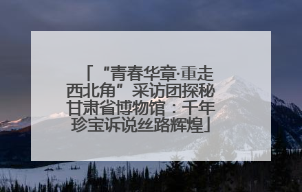 “青春华章·重走西北角”采访团探秘甘肃省博物馆：千年珍宝诉说丝路辉煌
