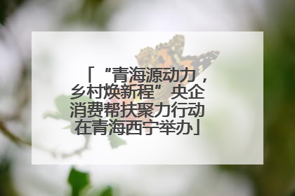 “青海源动力，乡村焕新程”央企消费帮扶聚力行动在青海西宁举办