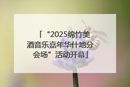 “2025绵竹美酒音乐嘉年华什地分会场”活动开幕