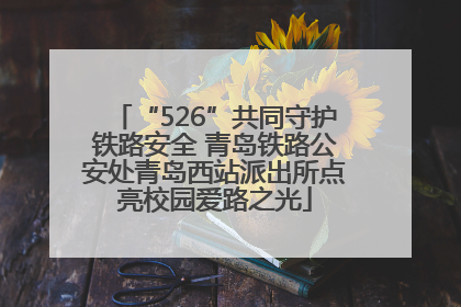 “526”共同守护铁路安全 青岛铁路公安处青岛西站派出所点亮校园爱路之光