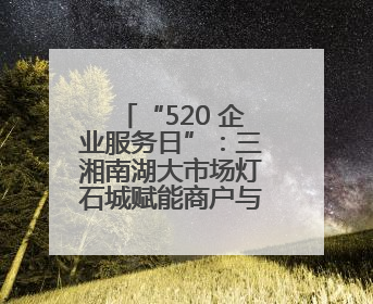 “520 企业服务日”：三湘南湖大市场灯石城赋能商户与职工