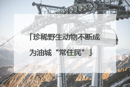 珍稀野生动物不断成为油城“常住民”