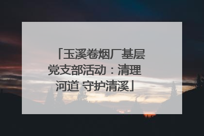 玉溪卷烟厂基层党支部活动：清理河道 守护清溪