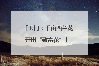 玉门：千亩西兰花开出“致富花”