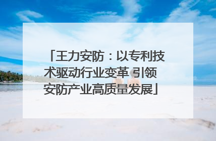 王力安防：以专利技术驱动行业变革 引领安防产业高质量发展